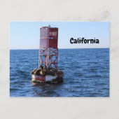 California Zee Lion Briefkaart (Voorkant)