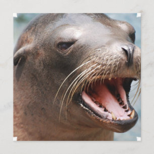 California Zee Lion Invitations Kaart