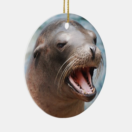 California Zee Lion Ornaments Keramisch Ornament (Rechts)