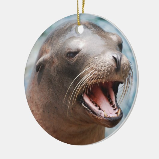 California Zee Lion Ornaments Keramisch Ornament (Links)