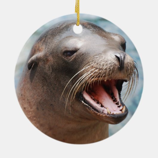 California Zee Lion Ornaments Keramisch Ornament (Achterkant)