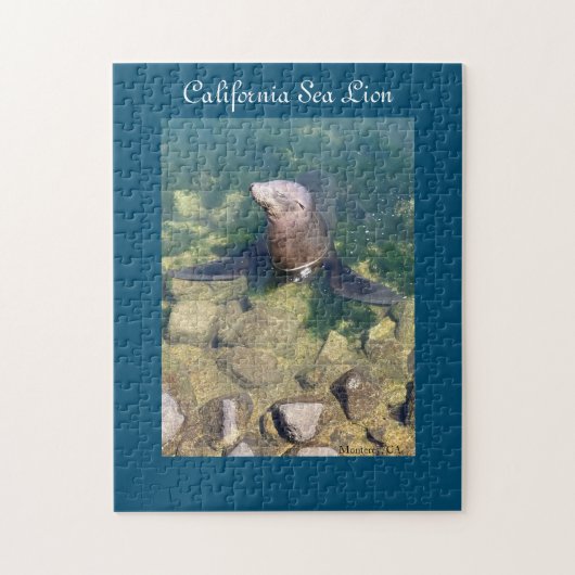 California Zee Lion Puzzle Legpuzzel (Verticaal)
