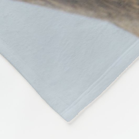 California Zee Lion Resting Fleece Deken (Hoek)