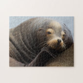 California Zee Lion Resting Legpuzzel (Horizontaal)