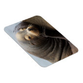 California Zee Lion Resting Magneet (Rechterzijde)