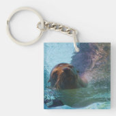 California Zee Lion Sleutelhanger (Voorkant)