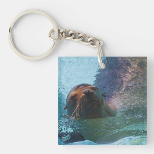 California Zee Lion Sleutelhanger (Voorkant)