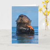 California Zee Otter Holding Starfish Kaart (Gele Bloem)