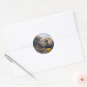 California Zee Otter Ronde Sticker (Envelop)