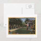 CaliforniaA Palm Shaded Walk Briefkaart (Voorkant / Achterkant)
