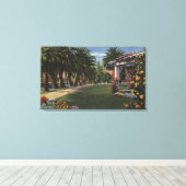 CaliforniaA Palm Shaded Walk Canvas Afdruk (Insitu (Houten vloer))