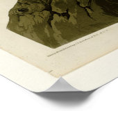 Californiaanse wijnbouw poster (Hoek)