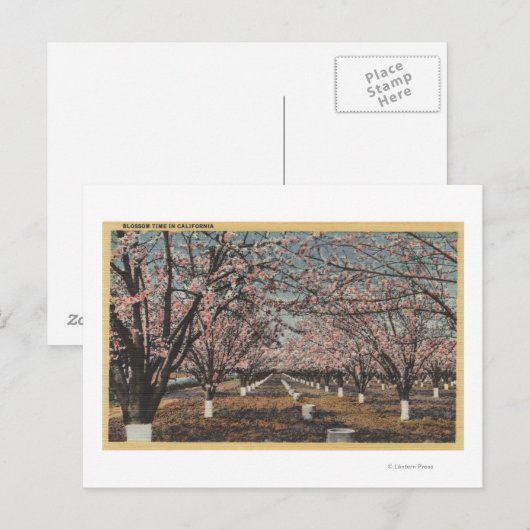 CaliforniaBlossom Blooming on Trees Briefkaart (Voorkant / Achterkant)