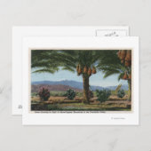 CaliforniaDates Groeiend in de Coachella Briefkaart (Voorkant / Achterkant)
