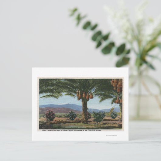 CaliforniaDates Groeiend in de Coachella Briefkaart (Staand voorkant)