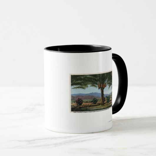 CaliforniaDates Groeiend in de Coachella Mok (Voorkant rechts)