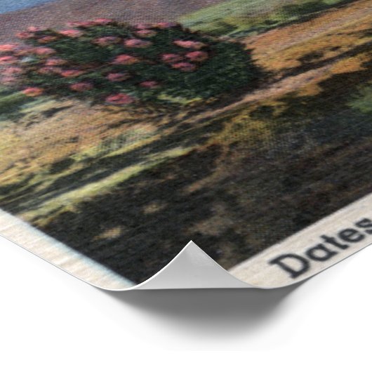 CaliforniaDates Groeiend in de Coachella Poster (Hoek)