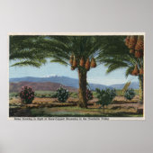 CaliforniaDates Groeiend in de Coachella Poster (Voorkant)