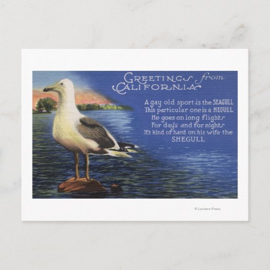 CaliforniaGreetings from, Seagull Poem Briefkaart (Voorkant)