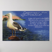 CaliforniaGreetings from, Seagull Poem Poster (Voorkant)