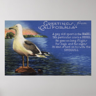 CaliforniaGreetings from, Seagull Poem Poster