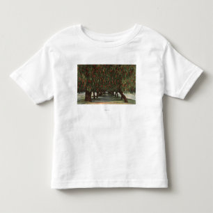CaliforniaGroves of Pepper Trees Kinder Shirts