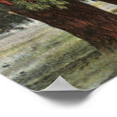 CaliforniaGroves of Pepper Trees Poster (Hoek)