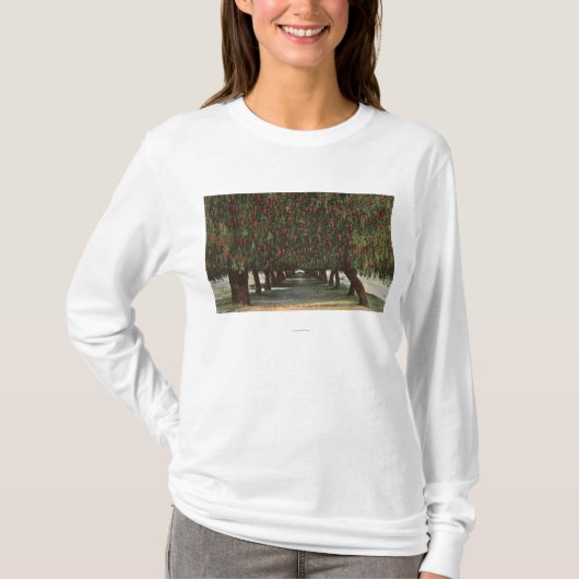 CaliforniaGroves of Pepper Trees T-shirt (Voorkant)