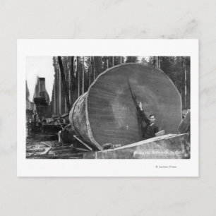 CaliforniaMan door Cut Redwood Log Briefkaart