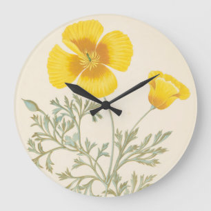 Californian Eschscholtzia Grote Klok