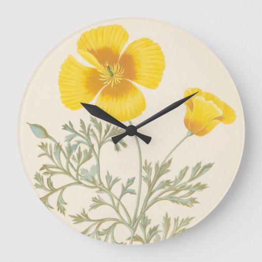 Californian Eschscholtzia Grote Klok (Voorkant)