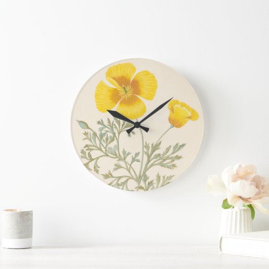 Californian Eschscholtzia Grote Klok (Huis)