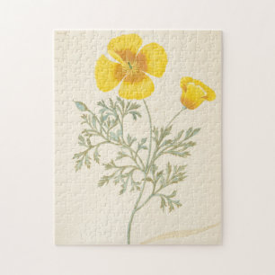 Californian Eschscholtzia Legpuzzel