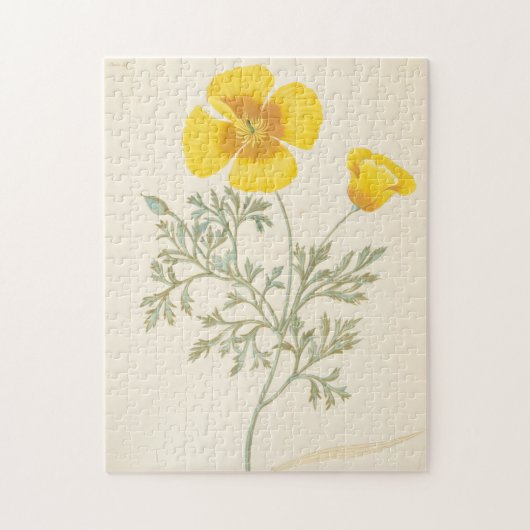 Californian Eschscholtzia Legpuzzel (Verticaal)