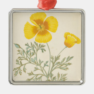 Californian Eschscholtzia Metalen Ornament