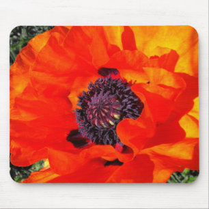 Californian Poppy Muismat