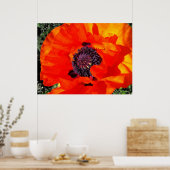 Californian Poppy Poster (Keuken)