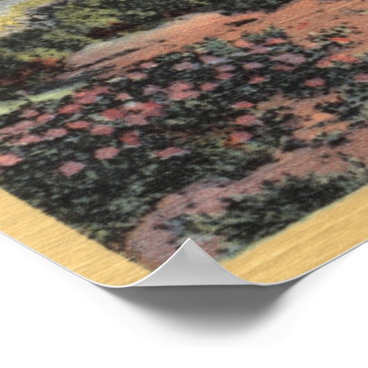 CaliforniaScene-woestijn-Uitzicht Poster (Hoek)