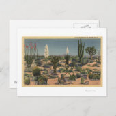 CaliforniaVarieties of Desert Cacti Briefkaart (Voorkant / Achterkant)