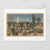 CaliforniaVarieties of Desert Cacti Briefkaart (Voorkant)