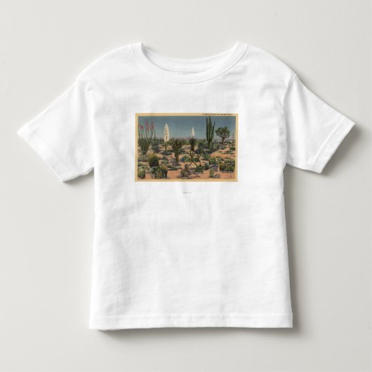 CaliforniaVarieties of Desert Cacti Kinder Shirts (Voorkant)