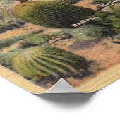 CaliforniaVarieties of Desert Cacti Poster (Hoek)