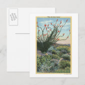 CaliforniaView of Cacti in Bloom Briefkaart (Voorkant / Achterkant)