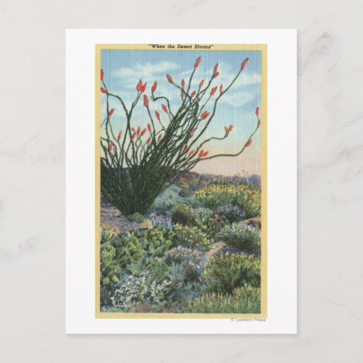 CaliforniaView of Cacti in Bloom Briefkaart (Voorkant)