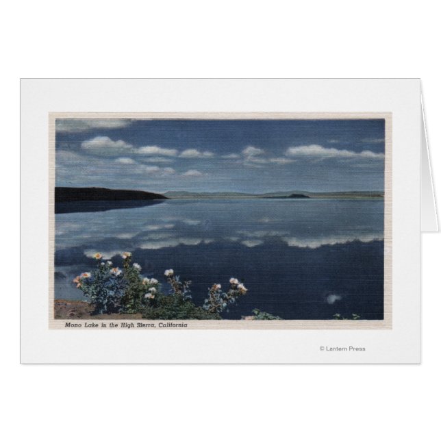 CaliforniaView of Mono Lake in the High Sierra (Voorkant Horizontaal)