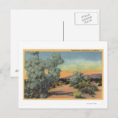 CaliforniaView of Smoke Trees in woestijn Briefkaart (Voorkant / Achterkant)