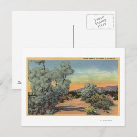 CaliforniaView of Smoke Trees in woestijn Briefkaart (Voorkant / Achterkant)