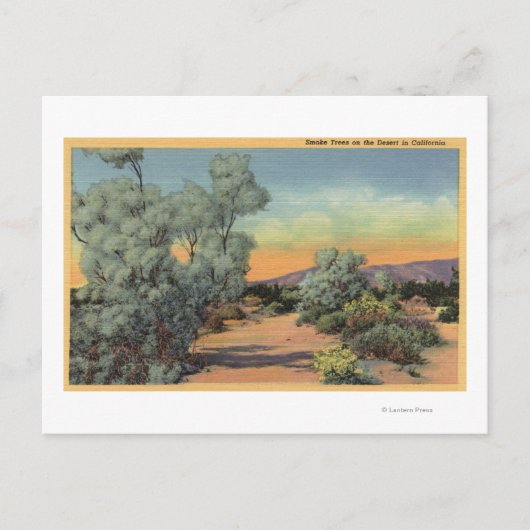 CaliforniaView of Smoke Trees in woestijn Briefkaart (Voorkant)