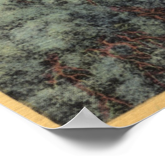 CaliforniaView of Smoke Trees in woestijn Poster (Hoek)