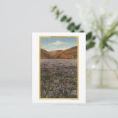 CaliforniaWild Lupine Flowers in Bloom Briefkaart (Staand voorkant)